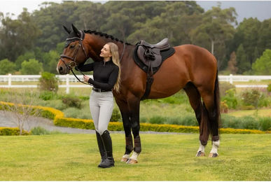 Produktbild von Tapis de CSO aus Mesh LeMieux Half Square Half Square Air-Tek