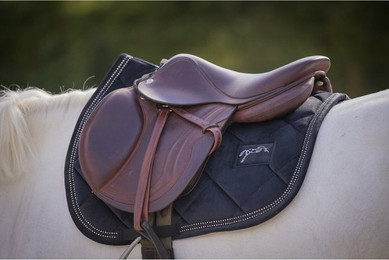 Produktbild von Tapis de selle pour cheval Pénélope New Strass