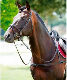 Produktbild von Tattini Pettorale Full-Marrone