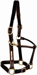 Produktbild von Tattini Pferdehalfter aus gestepptem Leder