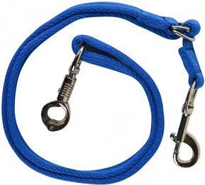 Produktbild von Tauchender KÃ¶der Rapala DT series 21g