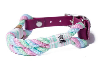 Produktbild von Tauhalsband ohne Perlen Candy - XS