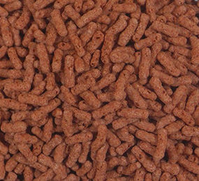 Produktbild von Teichfit Teichsticks Premium Color - 5 kg