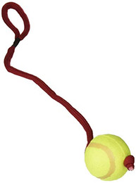 Produktbild von Tennisball am Seil - 1 Stk.