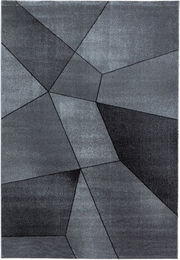 Produktbild von Teppich BETA 1120 Grau 80x150 cm