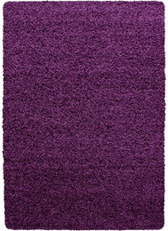 Produktbild von Teppich DREAM 4000 Lila 60x110 cm