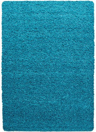 Produktbild von Teppich DREAM 4000 Türkis 80x150 cm