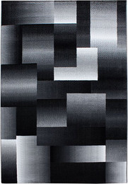 Produktbild von Teppich MIAMI 6560 Black 120x170 cm