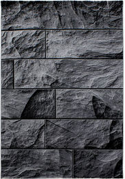 Produktbild von Teppich PARMA 9250 Schwarz 140x200 cm