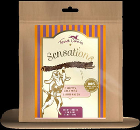 Produktbild von Terra Canis Chewy Champs Hundesnack 10 x 250 Gramm Lammpansen-Sparpaket