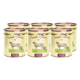 Terra Canis Classic Kalb mit Hirse, Gurke, gelber Melone und Basilikum - 6 x 800 g – Bild 1 von 5