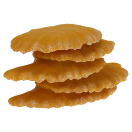 Produktbild von Terra Della Dekoration Pilz schwebend gelb