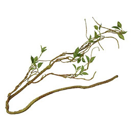 Produktbild von Terra Della Dünner Pflanzenzweig 130 cm Grün - 130 cm