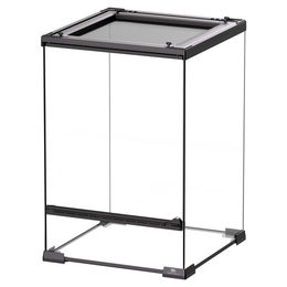 Produktbild von Terra Della Glas-Terrarium schwarz, Maße: 30 x 30 x 45cm