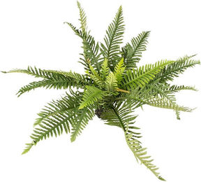 Produktbild von Terra Della Plastikpflanze Farn grün