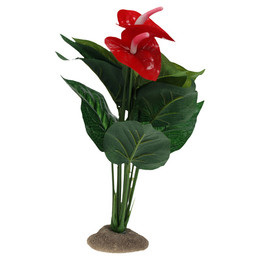 Produktbild von Terra Della Terrariendekoration Anthurium grün