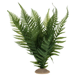 Produktbild von Terra Della Terrariendekoration Farn grün Größe L