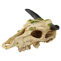 Produktbild von Terra Della Terrarium Dekoration Caraboa Totenkopf Größe S