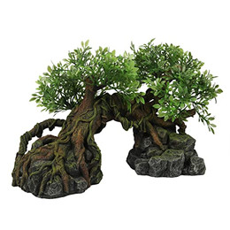 Produktbild von Terra Della Terrarium Dekoration Dschungel Baum