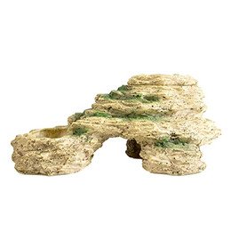 Produktbild von Terra Della Terrarium Dekoration Steinpool