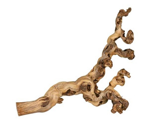 Produktbild von Terrariendekorationen - mit Wasser gebeizte Weinrebe Trixie