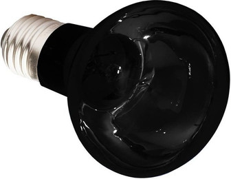 Produktbild von Terrarienlampe Komodo Nightglow Spot