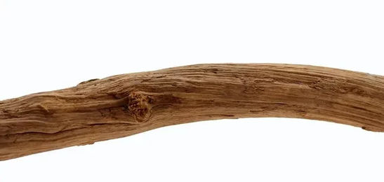 Produktbild von Terrarium-Zubehör Dschungel-Liane klein Reptiles Planet