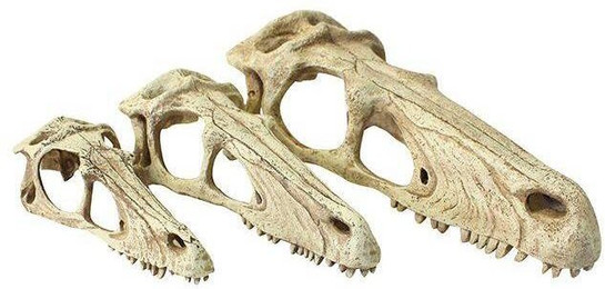 Produktbild von Terrarium-Zubehör klein Komodo Raptor Skull