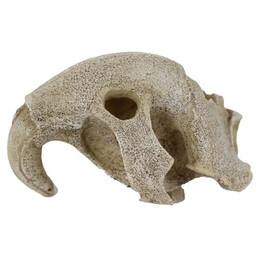 Produktbild von Terrarium-Zubehör Reptiles Planet Bird Skull