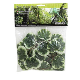 Produktbild von Terrarium-Zubehör Reptiles Planet Congo Jungle Vine