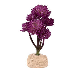 Terrarium-Zubehör Reptiles Planet Desert Succulent – Bild 1 von 6