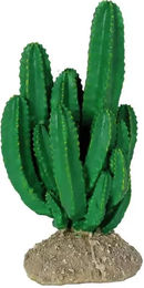 Produktbild von Terrarium-Zubehör Reptiles Planet Ironwood Cactus