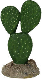 Produktbild von Terrarium-Zubehör Reptiles Planet Mexican Elder Cactus