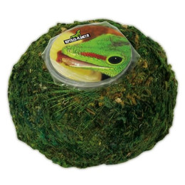 Produktbild von Terrarium-Zubehör Reptiles Planet Moss Ball