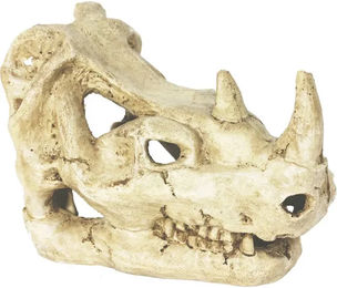Produktbild von Terrarium-Zubehör Reptiles Planet Rhinoceros Skull