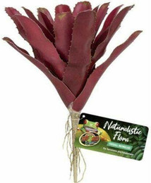 Produktbild von Terrarium-Zubehör Zoomed Fireball Bromeliad BU-60