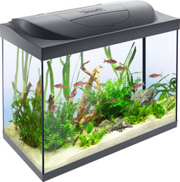 Produktbild von Tetra Starter Line 80 L Aquarium Komplett-Set - schwarz