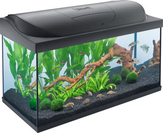 Produktbild von Tetra Starter Line LED Aquarium 105L - 105 l