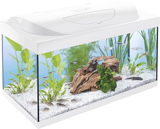 Produktbild von Tetra Starter Line LED Aquarium 54L Weiß - 54 l