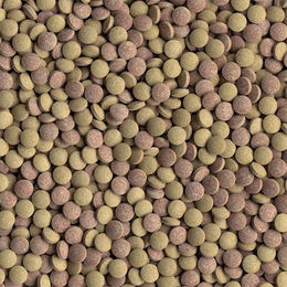 Tetra Tablets TabiMin - 120 Tabletten – Bild 1 von 4