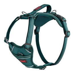 Produktbild von The Company of Animals Hundegeschirr Anatomy Harness Teal, Größe: XL