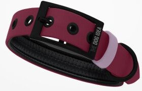 THE DOG IDEA Biothane Halsband Bordeaux Pfirsich L – Bild 1 von 3