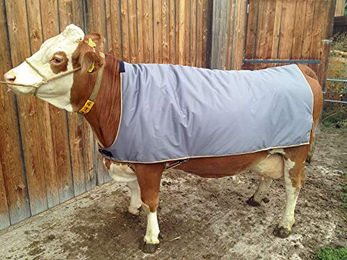 Thermodecke für Kühe 175 cm – Bild 1 von 4