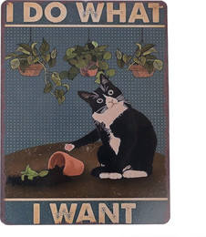 Produktbild von TIAKI Holzschild "I Do What I Want" zum Aufhängen