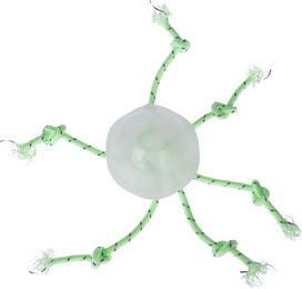 Produktbild von TIAKI Hundespielzeug Fluoreszierende Qualle