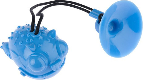 Produktbild von TIAKI Intelligenzspielzeug Drache mit Saugnapf - L 12 x B 9 x H 8 cm