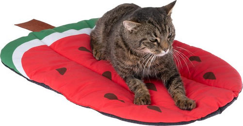 Produktbild von TIAKI Kühlmatte Wassermelone - L 65 x B 40 x H 2 cm