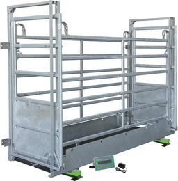 Produktbild von Tiere-Waage mit Wiegefunktion Kerbl