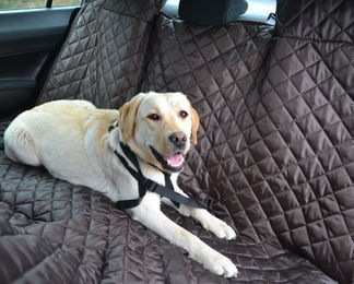 Tierlando ® Autoschondecke MAX mit Reißverschluss – Bild 1 von 6