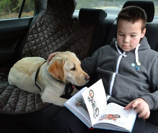 Tierlando ® Autoschondecke REX teilbar Reißverschluss Schutzdecke – Bild 1 von 6